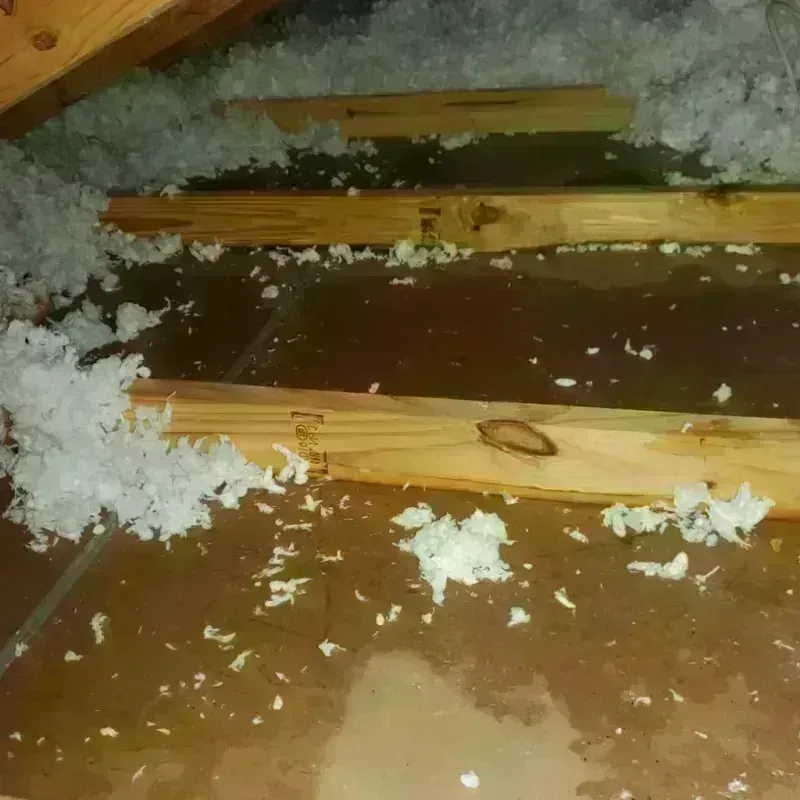 Attic Water Damage in Hudson, FL