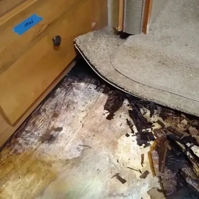 Wood Floor Water Damage in Hudson, FL